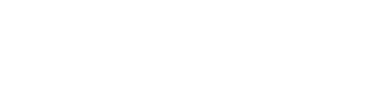 TICKET OPTIONS